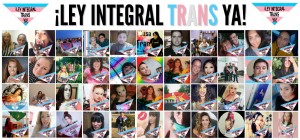 banner apoyo ley integral trans